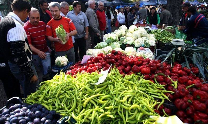 Ziua Roadelor Toamnei la… Anina