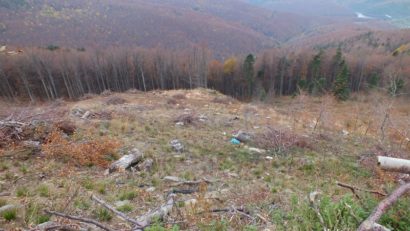 [ANCHETĂ] Parcul Naţional Semenic-Cheile Caraşului sub ameninţarea drujbei