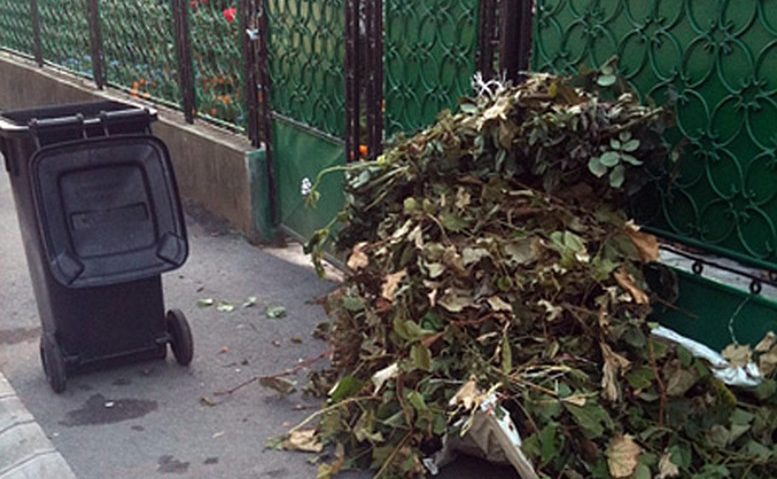 Curăţenia de toamnă, etapa I la final