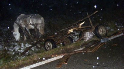 Căruţă spulberată la Teregova