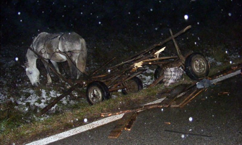 Căruţa şi camionul