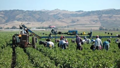 Se apropie alegerile Camerei Judeţene pentru Agricultură şi Dezvoltare Rurală Arad