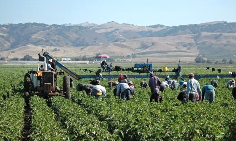 Se apropie alegerile Camerei Judeţene pentru Agricultură şi Dezvoltare Rurală Arad