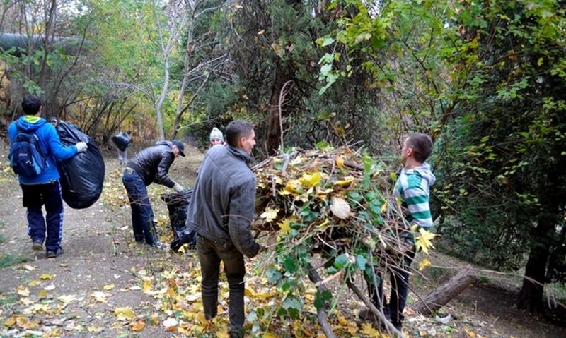 Ecologizare de toamnă în Hunedoara