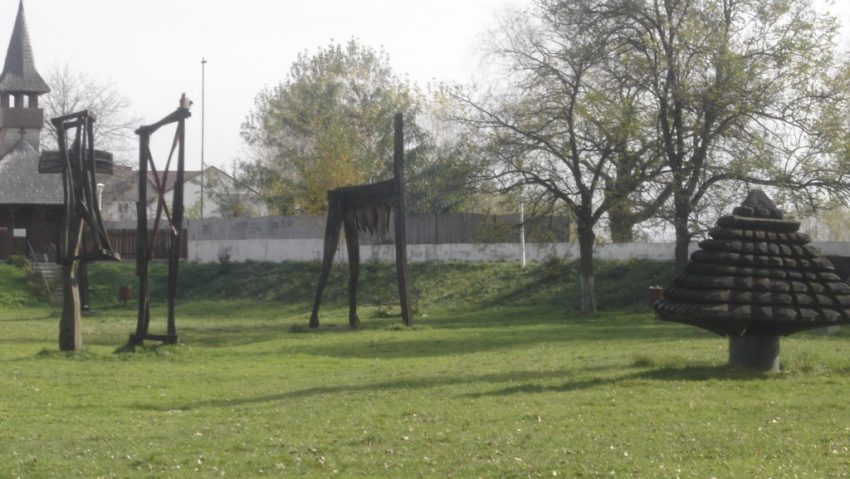 Plantări de arbori în Parcul Teiuş