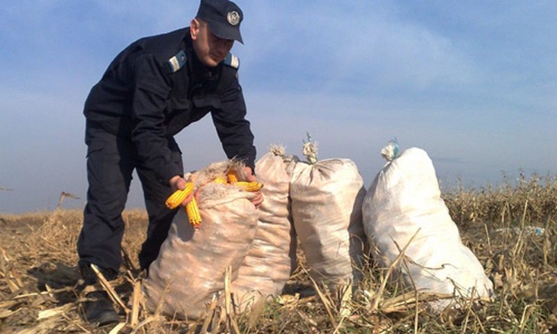 Hoţii, în plină campanie agricolă