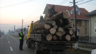 Transporta lemne fără autorizaţie!