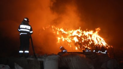 Incendiu de proporţii la un adăpost de animale