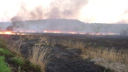 APIA atenţionează: Fermierii care ard miriştile şi resturile vegetale de pe pajişti sunt pasibili de pierderea subvenţiei pe suprafeţele agricole