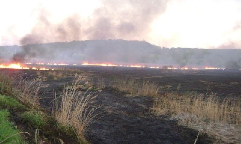 Cărăşenii îşi dau foc la câmp