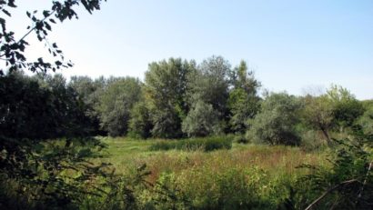 Amenzi în Parcul Naţional Lunca Mureşului