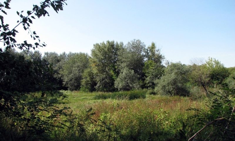 Amenzi în Parcul Naţional Lunca Mureşului