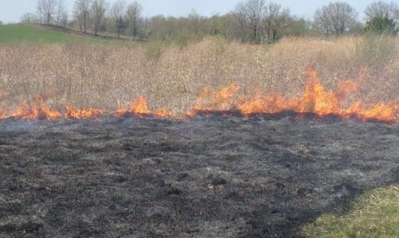 Incendii de vegetație uscată în Caraș-Severin