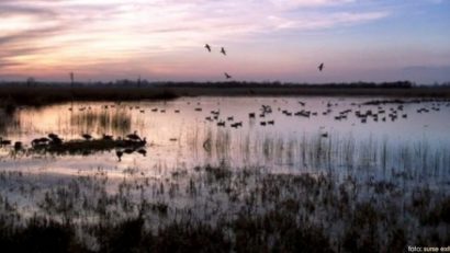 Biodiversitatea mehedinţeană în dezbatere