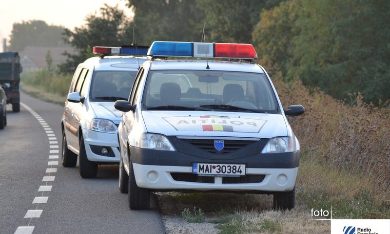 Patru timişeni au fost surprinşi pregătindu-se de o vânătoare ilegală