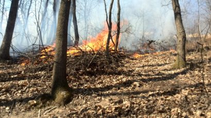 [FOTO] În luna pădurii… la Reşiţa arde pădurea