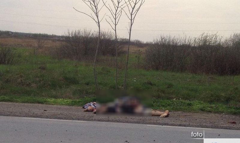 [UPDATE][FOTO/VIDEO] Accident mortal lângă Berzovia – Vinovatul, arestat pentru 30 de zile