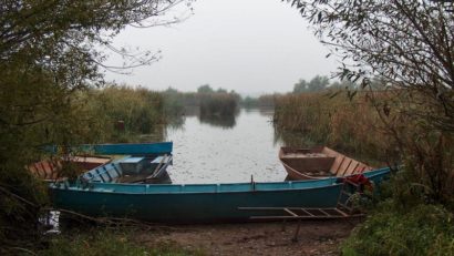 Pescuit ilegal în zona Ostrovului Moldova-Veche