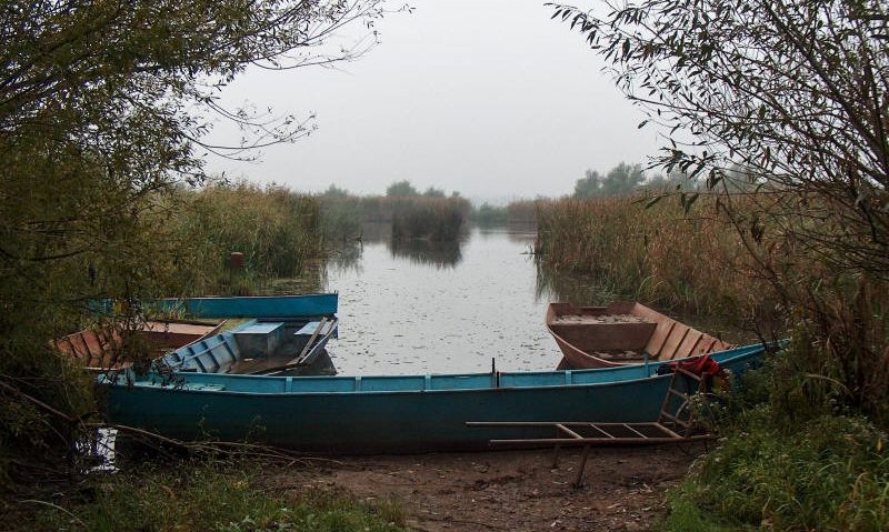 Pescuit ilegal în zona Ostrovului Moldova-Veche