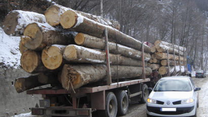 Consiliul Judeţean CS continuă războiul cu transportatorii de lemn