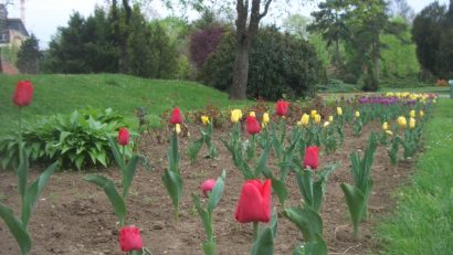 La Reşiţa se fură orice, până şi florile din ronduri şi din parcuri