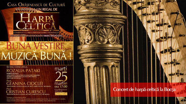 Concert de coarde la Bocşa