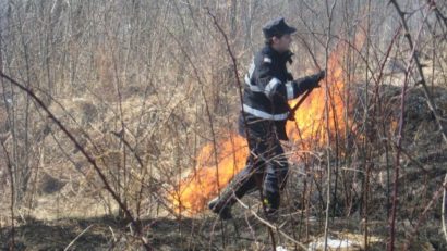 Pârjol pe zeci de hectare de litieră de pădure