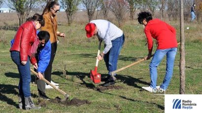 Împăduriri în „Luna Pădurii”, la Lugoj