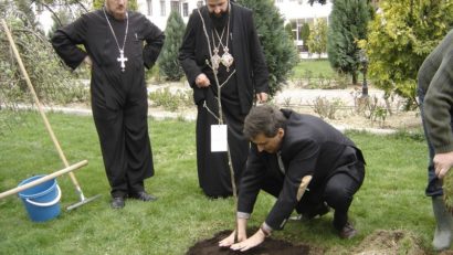 Nucul Episcopiei Caransebeșului