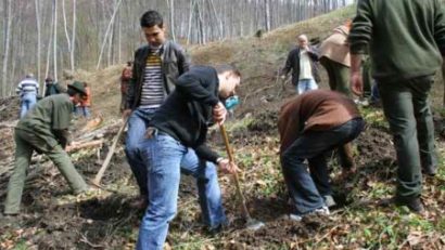 Zeci de tei şi sute de arbori ornamentali plantaţi la Deva