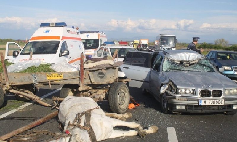 Un autoturism a spulberat o căruță în apropiere de Lugoj! Calul a murit pe loc, iar o persoană a ajuns la spital