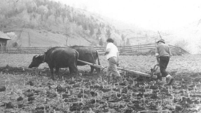 Vremea, vremurile şi agricultura