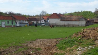 Caraş-Severin şi Arad, judeţe cu populaţie preponderent rurală