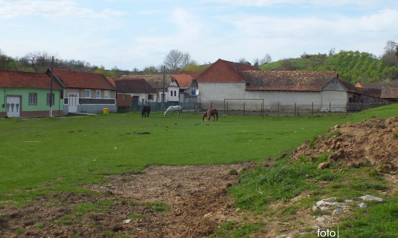 Caraş-Severin şi Arad, judeţe cu populaţie preponderent rurală