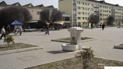 Administraţia locală din Oţelu Roşu se implică în problema câinilor maidanezi