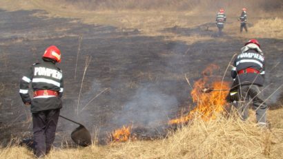 600 de hectare de vegetaţie mistuite de flăcări