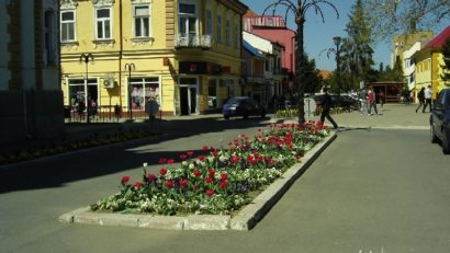 Lalele furate la Caransebeş chiar din faţa Primăriei