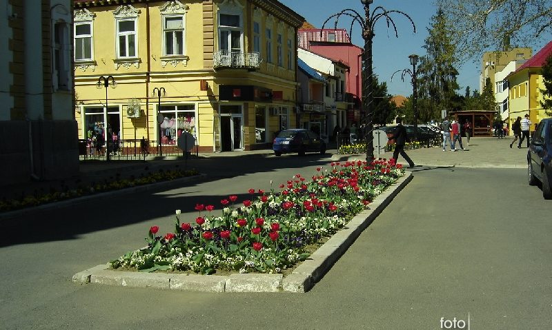 Lalele furate la Caransebeş chiar din faţa Primăriei