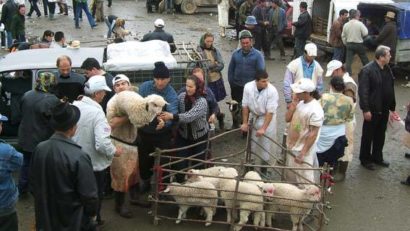 Avertizare DSVSA: NU cumpăraţi animale sacrificate sau carne de la colţul străzii!