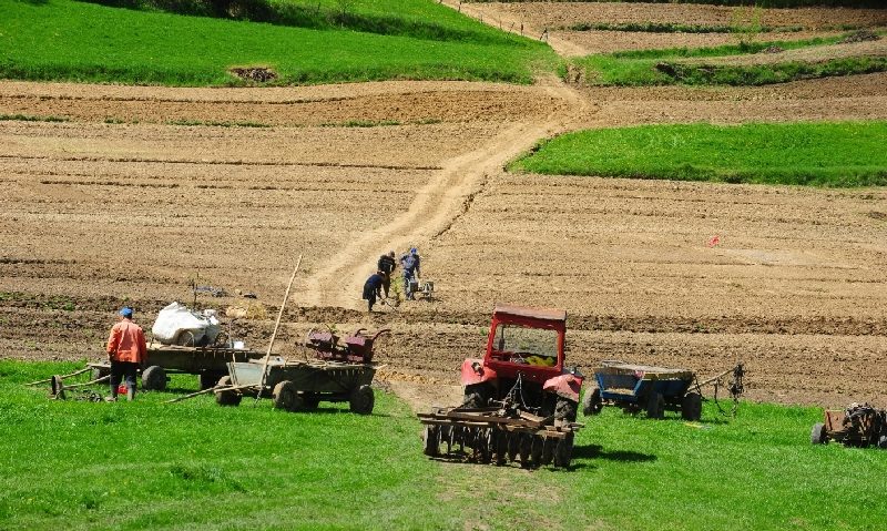 Valoarea producţiei agricole din Serbia este de 6,6 miliarde dolari