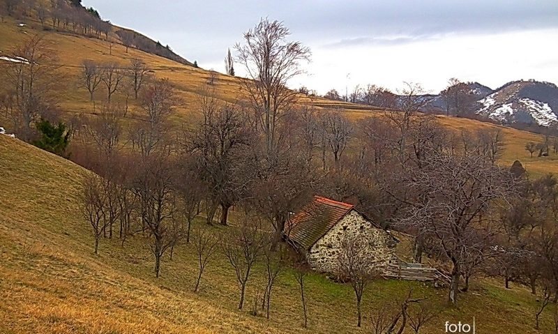 Edilii armenişeni promovează agroturismul în zonă