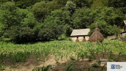 Primăvară agricolă târzie în Caraş-Severin