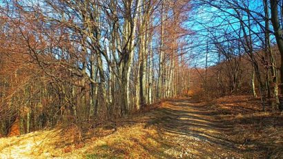 Intabulări în cercetare, la Bucoşniţa