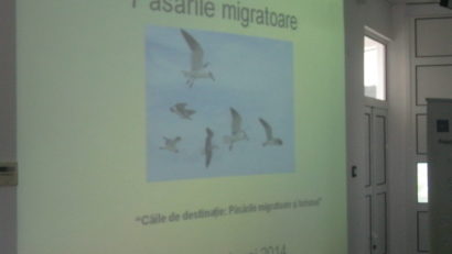 [FOTO] De ziua lor, păsările migratoare au fost subiect de discuţie la APM Caraş-Severin