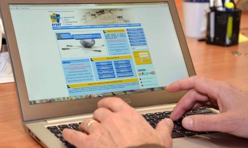 Cereri de finanţare pe Măsura 1.2.1., online