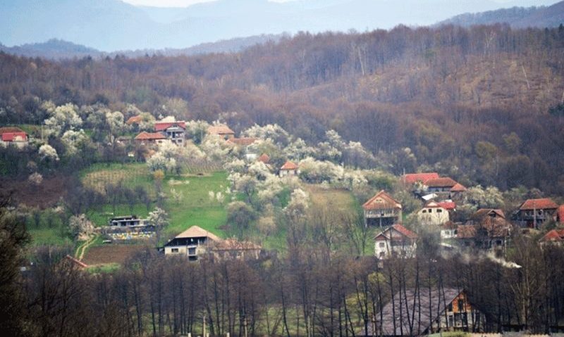 Proiect turistic la Baia de Aramă