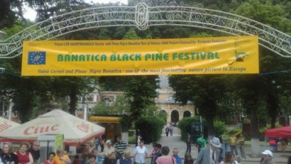 O nouă ediție a Festivalului Pinul negru de Banat