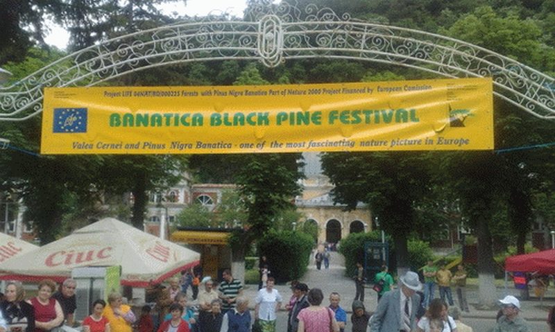 O nouă ediție a Festivalului Pinul negru de Banat