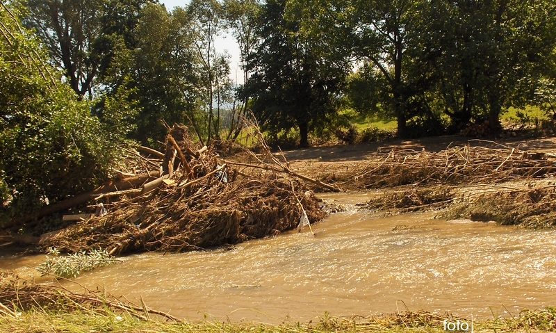 Terenuri din Prahova calamitate în urma precipitaţiilor