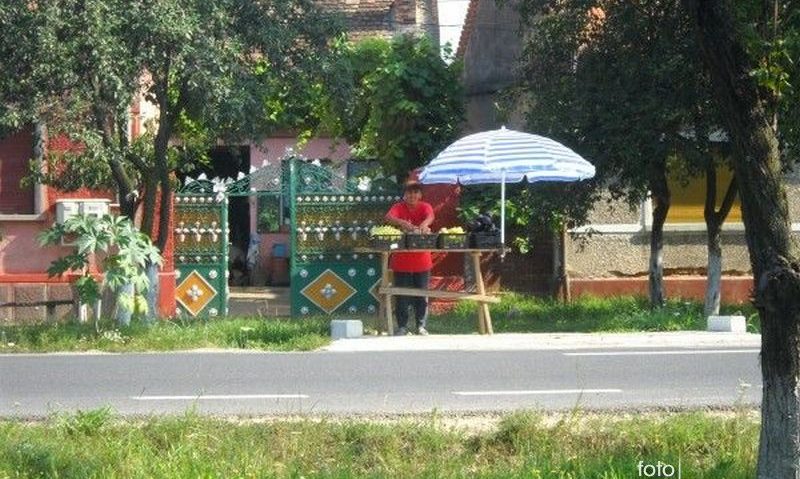 Centru de achiziţie legume fructe la Belinţ